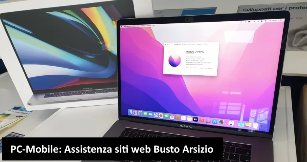 Assistenza siti web Busto Arsizio
